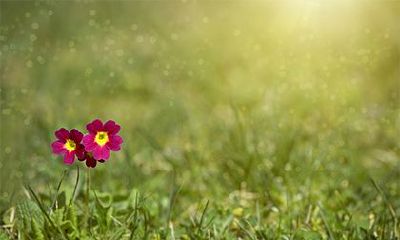 2022壬寅虎年二月二十五的日子是出殡的吉日吗？