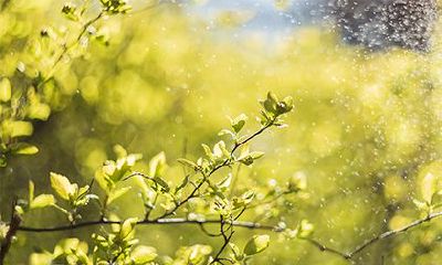 太岁符一年后怎么处理？太岁符放哪里最好？