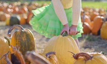 爸爸姓易妈妈姓金双胞胎取个啥名好