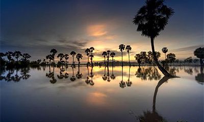 2022壬寅年二月十九黄历的日子好吗？适合出殡吗？