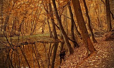 2022年农历二月十八可以出殡吗？是不是行丧的好日子？