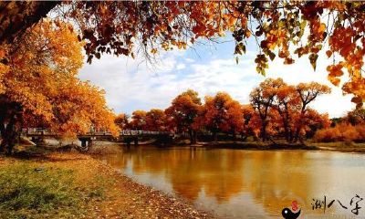 四柱八字命理算命取像技巧整理分享（一）