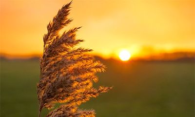 2022年虎年二月十五这天是合适出殡行丧的好日子吗？