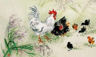 属鸡人不同出生月的命运