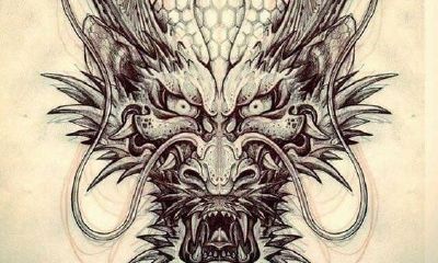 龙在十二地支总排名底第五,为西南修真向