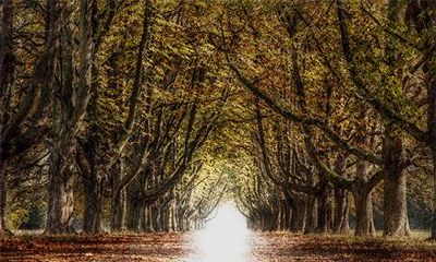 2022壬寅虎年二月初十出殡行丧合适吗？这天卦象如何？