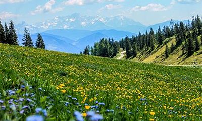 2022年农历二月初九是不是适合出殡的好日子？