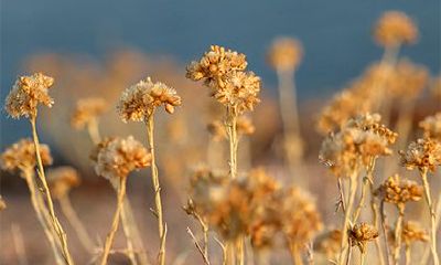 农历2022壬寅虎年二月初七出殡行丧好不好？