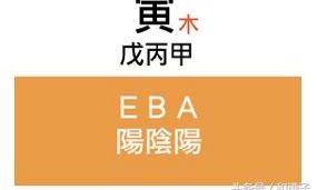 十二地支也是阴阳五行