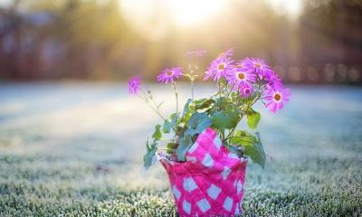 白羊座2021第三季度运程，财气提高，会碰到意外惊喜，获得一些意外之财