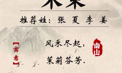 冷门又大气的宝贝名字