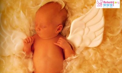 杨姓鸡宝宝怎么起名取名