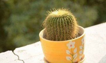 2023谷雨是阴历几月 2023年谷雨是好日子吗