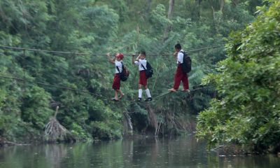 宝宝起名取名姓邱鸿