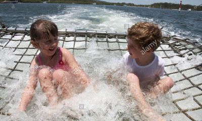 鸡年曾姓女宝宝起名取名
