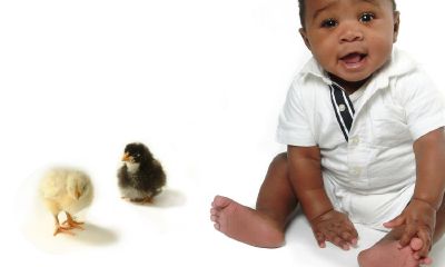 何姓梦字女宝宝起名取名