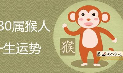 1980属猴运势如何