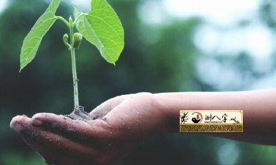 属相龙2022年运势完全免费