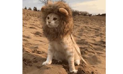 别再说这几个星座渣了！！！