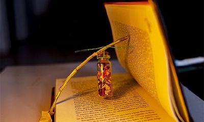 2022年法定节假日三倍工资是哪几天？2022年法定节假日安排时间表