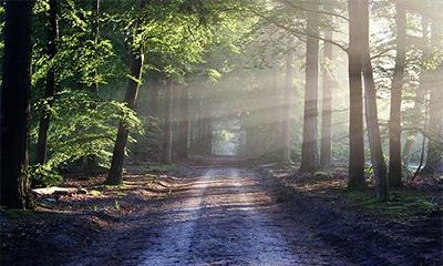 2022年立春是几点几号几点几分？立春有什么气候特征？