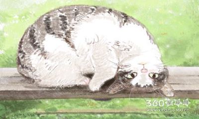 属龙女选男票第一标准是什么？