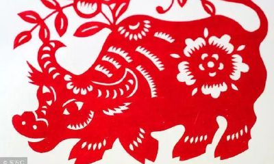 十二生肖哪些出生月份最好是命？