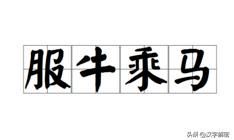 十二生肖：马的价值你清楚吗？