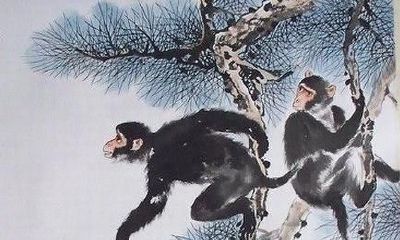 什么时间出生的属猴人最有福气