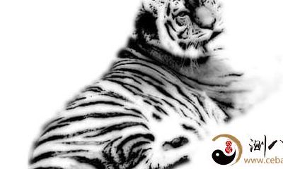 十二生肖性格分析——生肖虎性格分析