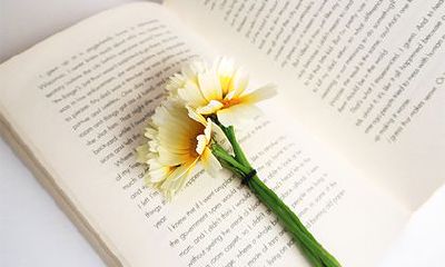 2022年农历五月属兔人的运势发展如何？