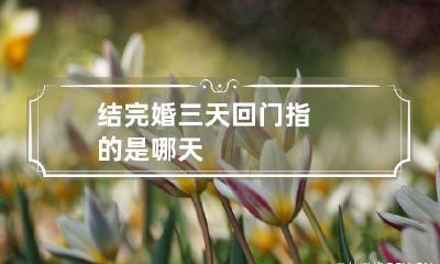 结完婚三天回门指的是哪天
