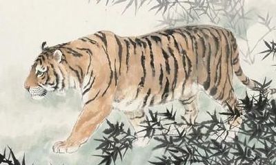 属虎的人出生日运势