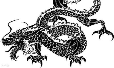 属相龙跟这一生肖在一起，是上天“最爱的”！