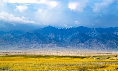 蔺姓是如何发展而来的？蔺姓分布在哪里？