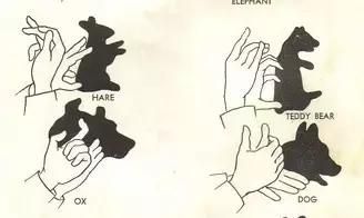 六大属相婚配表——赶紧来看看你该找哪些的爱人！