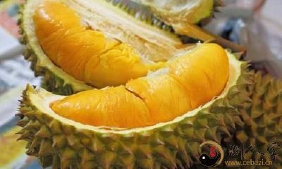 梦见榴莲上边的刺扎来到我