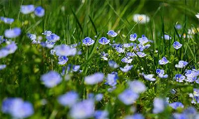 2022年属虎不要出生的月份介绍，生肖虎不可以在几月出生？