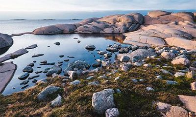 柳姓有几个源流历史？起源于什么地方？