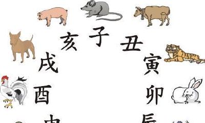 怎样便捷的排出来自身的八字