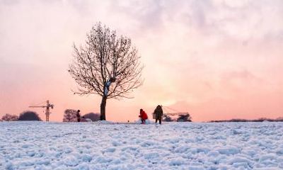 春分节气的特点是什么？2021春分之后是什么节气？