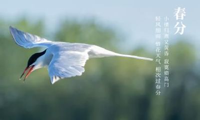 2021春分怀孕好吗？属蛇春分出生是什么命？