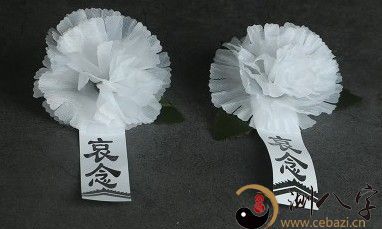 梦到胸口带一朵白花