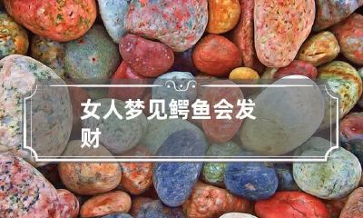 女人梦见鳄鱼会发财