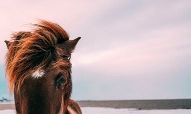 属马人2022年农历六月运势及运程详解