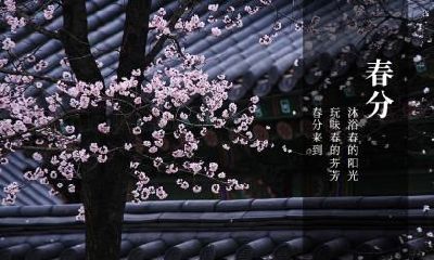 春分注意事项，春分要做什么？