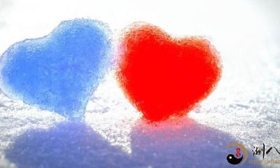 属猴的人，一生的婚姻爱情？