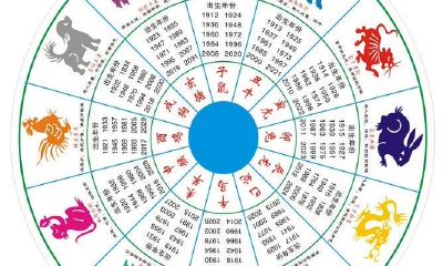 这个国家的十二生肖里居然是有猫的