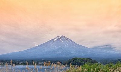 苏姓历史中有哪些名人？现代明星苏姓多不多？