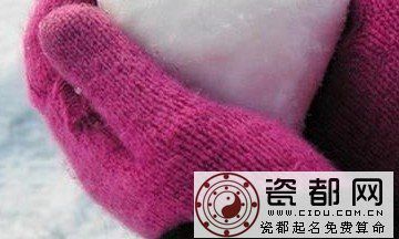 属鼠的人2013年婚姻